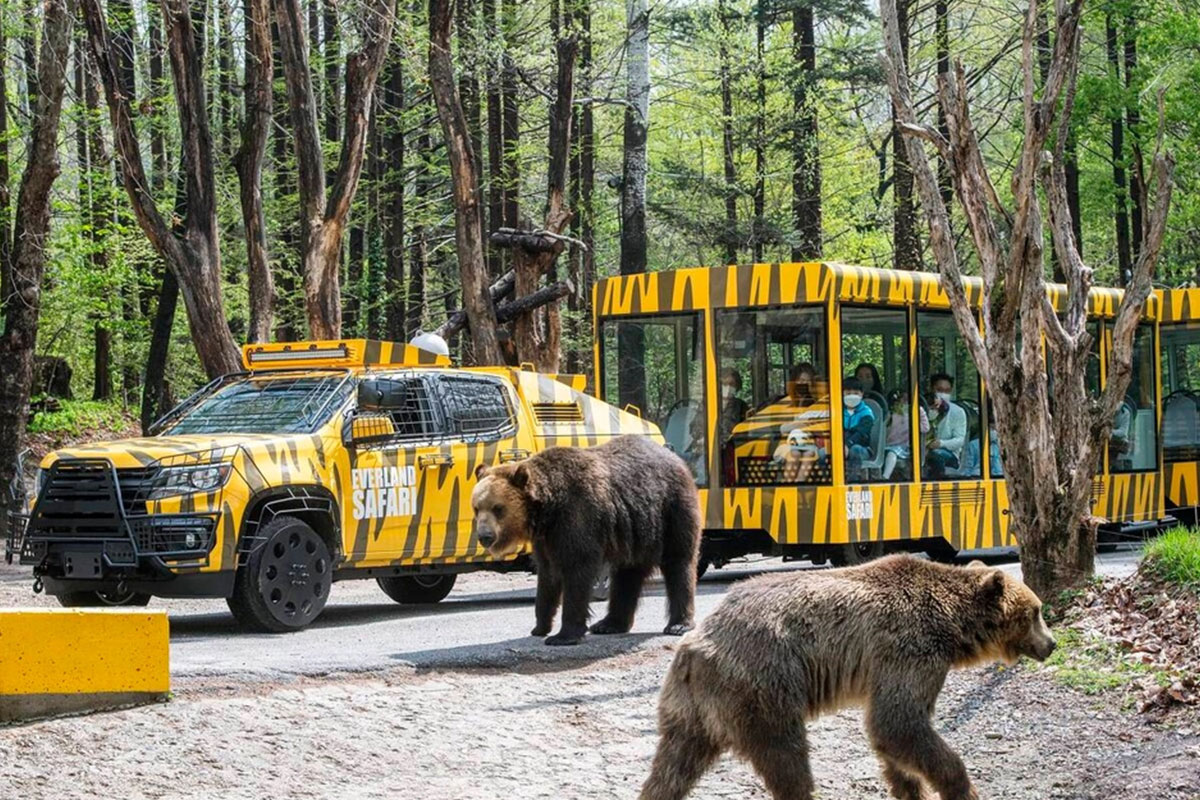 Island Resort Club Tour Services Inc.