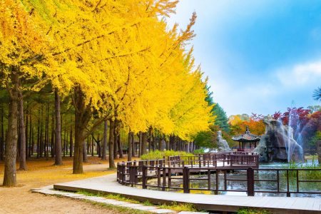 10 Thai Customs That Might Suprise You