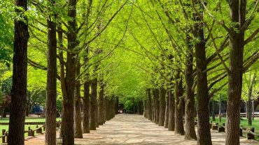 10 Thai Customs That Might Suprise You