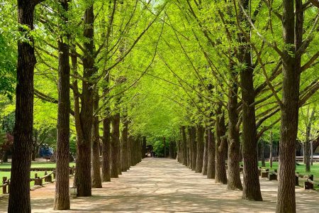 10 Thai Customs That Might Suprise You