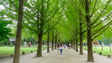 10 Thai Customs That Might Suprise You