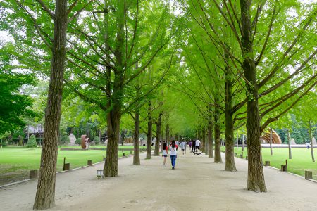 10 Thai Customs That Might Suprise You