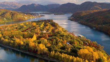 Nami Island in Every Season: When Is th Best Time to Visit Korea’s Most Beautiful Island?