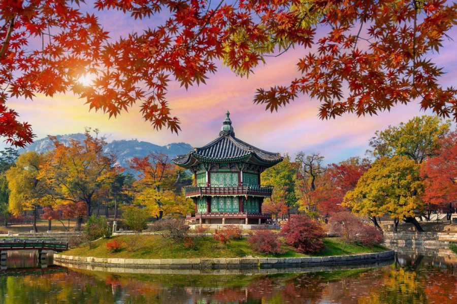 Best of Seoul Autumn