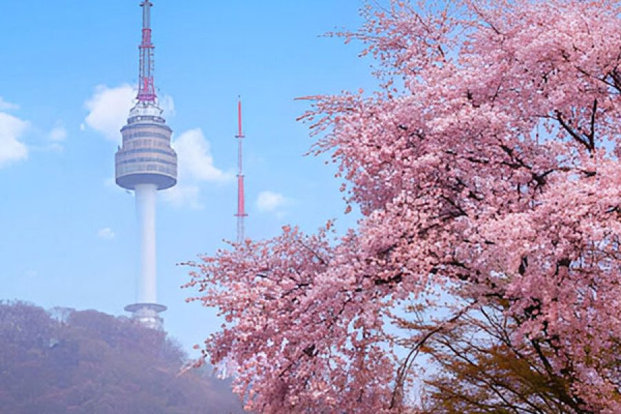 2027 Best of Seoul Spring Premium